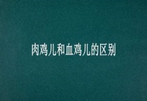 肉鸡儿和血鸡儿的区别？