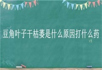 豆角叶子干枯萎是什么原因打什么药