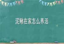 泥鳅在家怎么养活