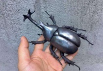 独角仙认主人吗？