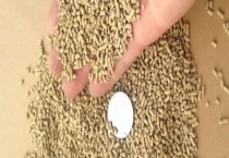 鸡饲料有哪些主要成分 各阶段的具体饲料配方