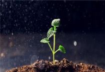 玉肥的正确使用多久？