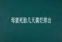 母猪死胎几天腐烂排出