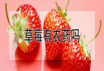 草莓有农药吗？