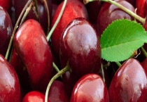 宁波樱桃何时成熟 樱桃采摘注意事项