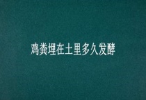 鸡粪埋在土里多久发酵