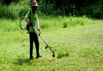 莠去津用后多少天没有药害 什么是莠去津