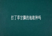 打了草甘膦的地敢种吗？