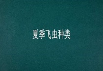 夏季飞虫种类