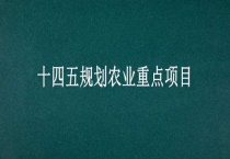 十四五规划农业重点项目