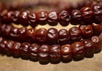 柏香籽是什么种子