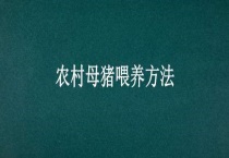 农村母猪喂养多久？