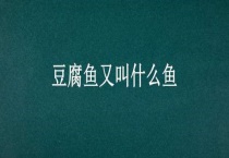 豆腐鱼又叫什么鱼