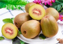 红心猕猴桃种植技术与管理