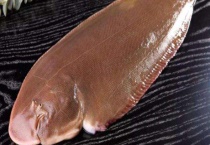 龙利鱼产地在哪里？和巴沙鱼的区别？有哪些？