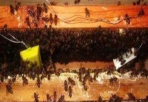 奖励饲喂 附注意事项