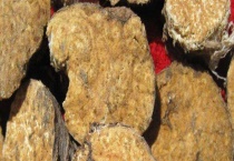 阿魏钓鱼真的有用吗？有一定的诱鱼效果 但千万不要过于迷信！