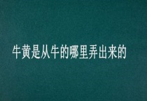 牛黄是从牛的哪里弄出来的
