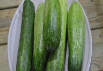 6月份适合种什么蔬菜