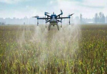 虫酰肼的用途是什么 使用注意事项有哪些？