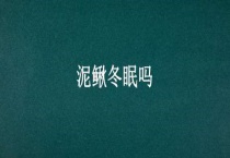 泥鳅冬眠吗？