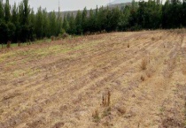 土壤改良的方法有哪些？