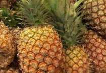 菠萝产地主要在哪个省