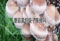 蘑菇菌包袋子撕掉吗？
