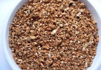 蛭石拌土能养花吗？