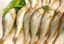 子梅鱼和小黄鱼的区别？