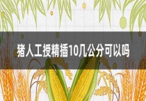 猪人工授精插10几公分可以吗？