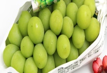 香印甜还是晴王甜 国内有睛王葡萄种植吗？