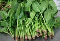 菠菜播种时间和多久？