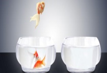 裸缸可以培养硝化细菌吗？