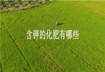 含钾的化肥有哪些？