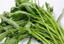 空心菜催芽多久？