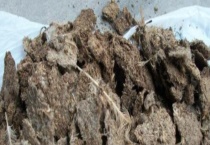 鸡粪作为饲料的营养价值 附饲喂多久？