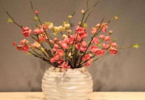 腊梅枝条插花瓶怎么养