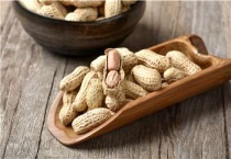 花生的种植技术