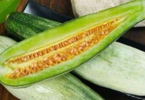 羊角蜜几个叶掐尖