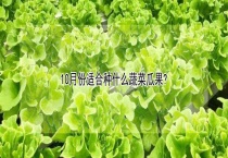 10月份适合种什么蔬菜瓜果？