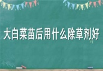 大白菜苗后用什么除草剂好
