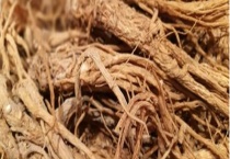 当归生虫怎么处理 当归生虫的原因是什么？