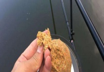 用什么饵料可钓鲳鱼 附钓鲳鱼的钓组选择