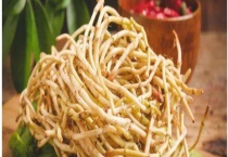 折耳根是鱼腥草吗 附形态特征