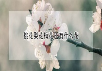 桃花梨花梅花还有什么花