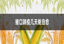 猪口蹄疫几天能自愈