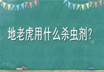 地老虎用什么杀虫剂