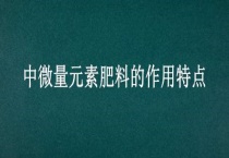 中微量元素肥料的作用特点
