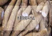 木薯别名叫什么？